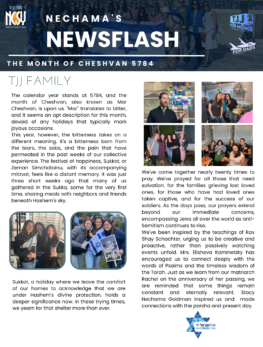 Cheshvan 2023 newsletter cover